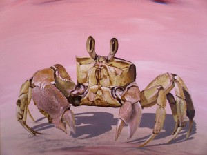 Krabbe 60 x 60cm Acryl auf Leinwand