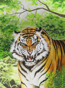 Angry Cat (Panthera tigris), 2014, Aquarell 30 x 40 cm.