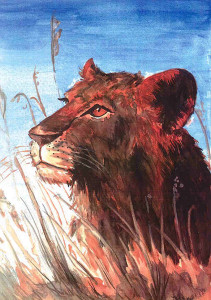 Panthera leo, Aquarell, 30 x 40 cm.