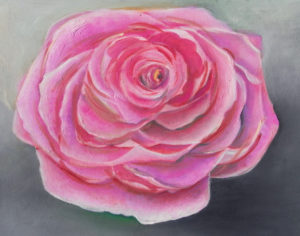 Rose editiert für Kunstmeine