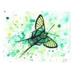 Dragontail butterfly - Julia Jensen
